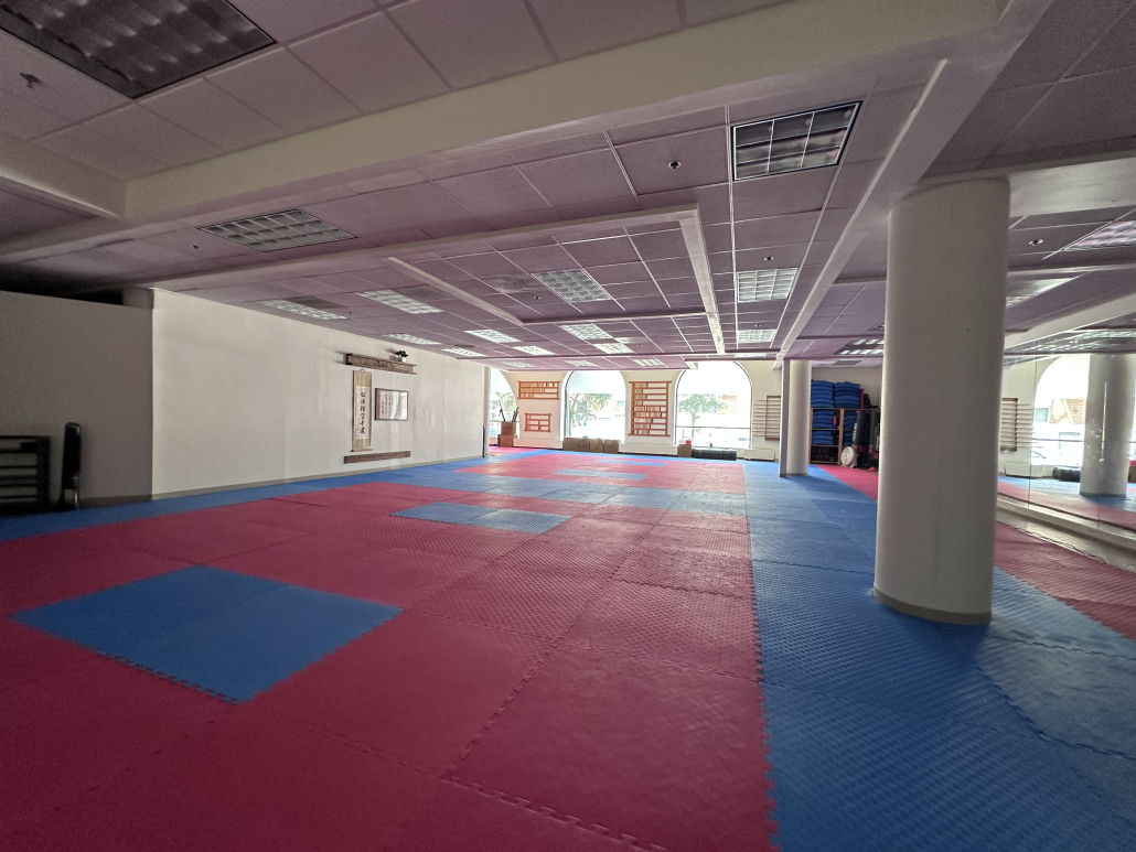 River City dojo 1