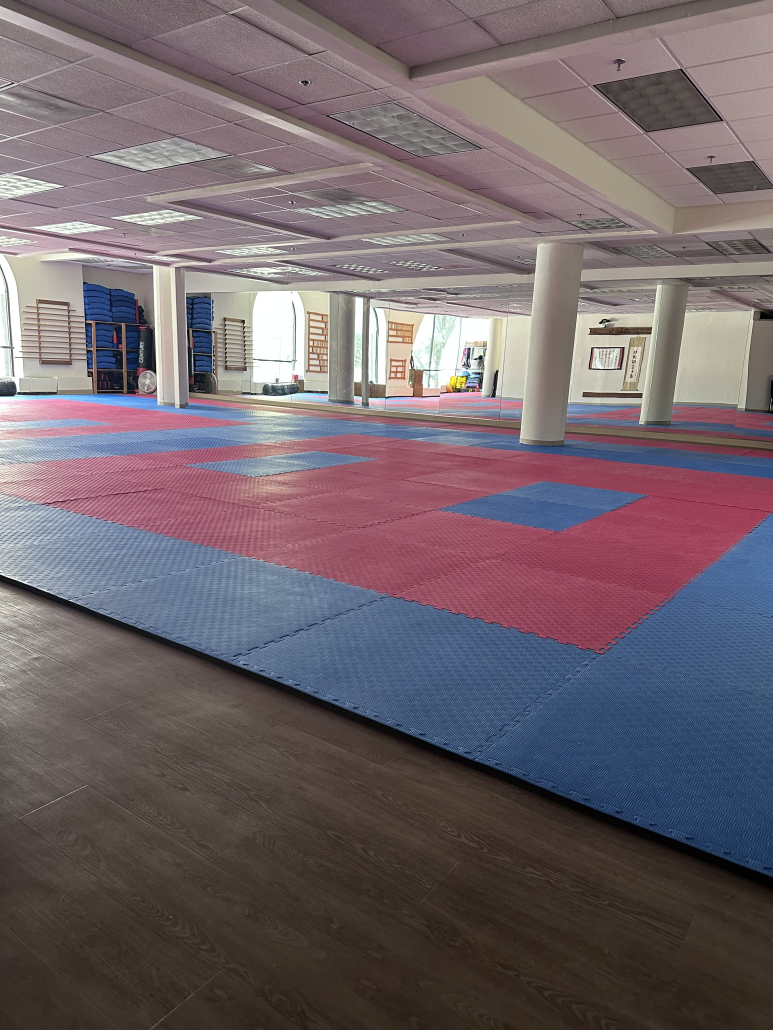 River City dojo vert 1
